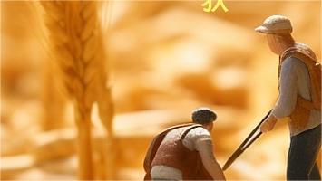 88爱彩网绗缝机温馨提醒：一场秋雨，一场寒，请及时添衣保暖